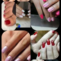 اجاره صندلی