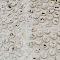 نان خشک تمیز