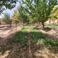 باغ ویلا ۱۳۰۰ متری اب برق گاز کنتور قانونی ماریان|فروش خانه و ویلا|مشهد, درزآب|دیوار