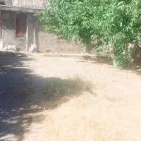 فروش خانه ویلایی در پاتاوه کوچه مسجد صاحب الزمان|فروش خانه و ویلا|پاتاوه, |دیوار