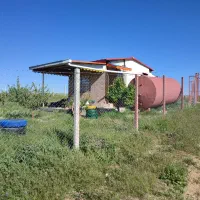 زمین باغ ویو ابدی