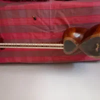 تار عباسی سال ۱۳۸۲|سازهای سنتی|تهران, ستارخان|دیوار