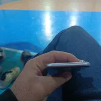 آیفون 6sدرحد|موبایل|تهران, شکوفه (عبدل آباد)|دیوار