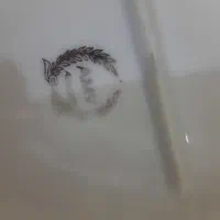 دیس|ظروف سرو و پذیرایی|اهواز, بهزاد شهر|دیوار