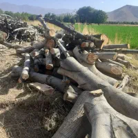 خریدار انواع چوب