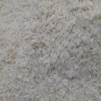 برنج شیرودی|خوردنی و آشامیدنی|ابهر, |دیوار
