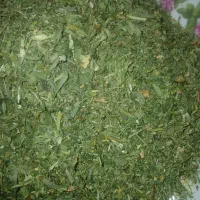 سبزی خشک قورمه سبزی|خوردنی و آشامیدنی|اردبیل, |دیوار