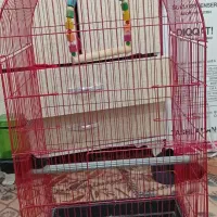 دوتاقفس درحدنو قیمت مناسب