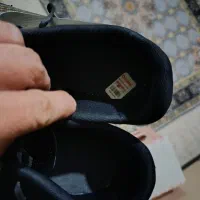 کتانی سالن ورزشی|کیف، کفش، کمربند|خلخال, |دیوار