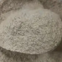 گزو تازه وجوان
