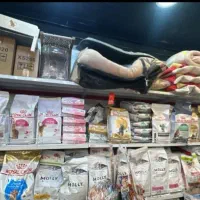 غذای خشک گربه