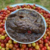 10 کیلو رب آلوچه ترش کیلویی 200
