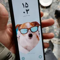 زد فولد تری.