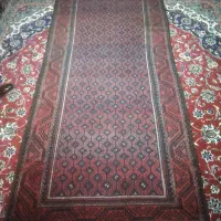 فرش دستباف سالم|فرش|بیرجند, |دیوار