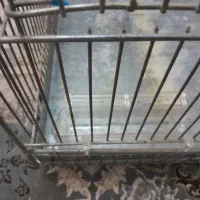 قفس پرنده|لوازم جانبی حیوانات|تهران, تختی|دیوار