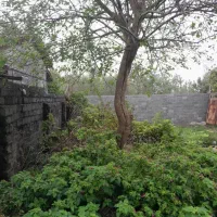 فروش زمین ۱۹۸م مسکونی سند تک برگ|فروش زمین و ملک کلنگی|بندر انزلی, میان پشته|دیوار