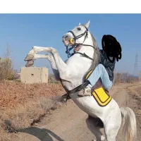 اسب ترک نریان