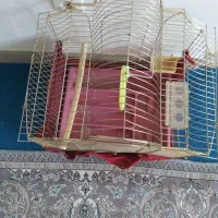 قفس حرفهای|لوازم جانبی حیوانات|فولادشهر, مسکن مهر فولادشهر|دیوار