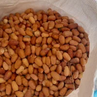 سنجد تازه 200کیلو