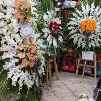 تاج گا ترحیم و شادی از ۱۵۰۰ تا ۳۵۰۰|گل و گیاه طبیعی|اسلام‌شهر, شهرک مفیدی|دیوار