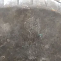 سینی مسی دولب کنگره قدیمی|کلکسیون اشیاء عتیقه|قم, انسجام|دیوار