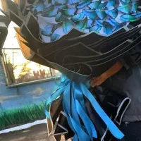 دسته گل پروانه (هدیه)