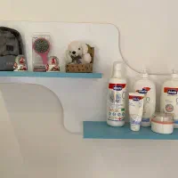 تخت و کمد نوجوان و کودک|تخت و صندلی بچه|مشهد, هفت تیر (نه دره)|دیوار