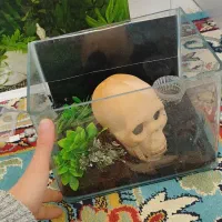 آکواریوم ماهی