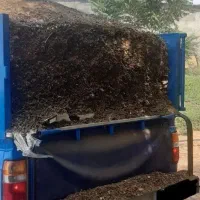 کود حیوانی خیلی تمیز