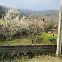 جذب نیروی خانم