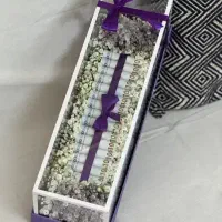 پول آرایی