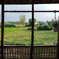 برنج هاشمی دانه درشت درجه ۱