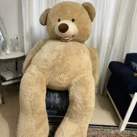 عروسک خرس|اسباب‌‌بازی|رشت, کوی یخ|دیوار