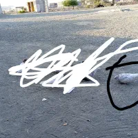 کبوتر هوای