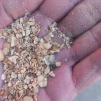 فروش محدود کنجاله سویا