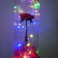 گل ربانی|گل مصنوعی|تربت جام, معدآباد|دیوار