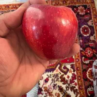سیب قرمز استخوانی