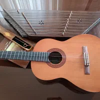 فروش سنتور و گیتار با قیمت عالی به علت مهاجرت