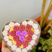 قند و نبات گیاهی ومیوه ای