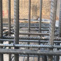 زمین ۴ فرزندی