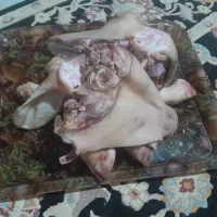 کله پاچه پاک شده