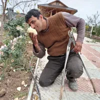 تخریب ساختمان