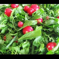 انواع سبزی خرد شده تر و تازه..فقط کفیت کار رو ببین|خوردنی و آشامیدنی|رشت, جماران|دیوار