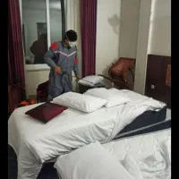 سمپاشی حشرات و موش بامجوز بهداشت و ۱۰۰ درصدتضمینی