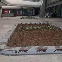 معاوضه یا فروش  مغازه ۲۰‌متری بوشهر مال|فروش مغازه و غرفه|بوشهر, |دیوار