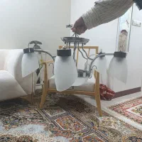 لوستر پذیرایی