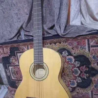 گیتاریست فان مدل e160