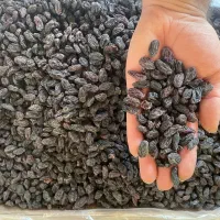 مویز بی هسته درشت