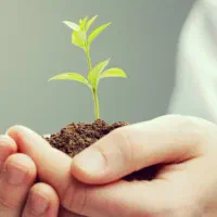 استخدام کارشناس فروش