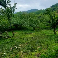 فروش-زمین-مسکونی